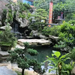 6 Nguyên Tắc Cơ Bản Trong Kỹ Thuật Tạo Hình Non Bộ