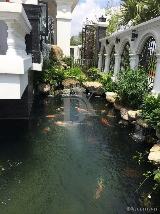 Tiểu Cảnh Ban Công 17-Liên Hệ: 0973.928.564