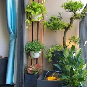 Thi Công Tiểu Cảnh Sân Vườn Nhà Phố Đẹp