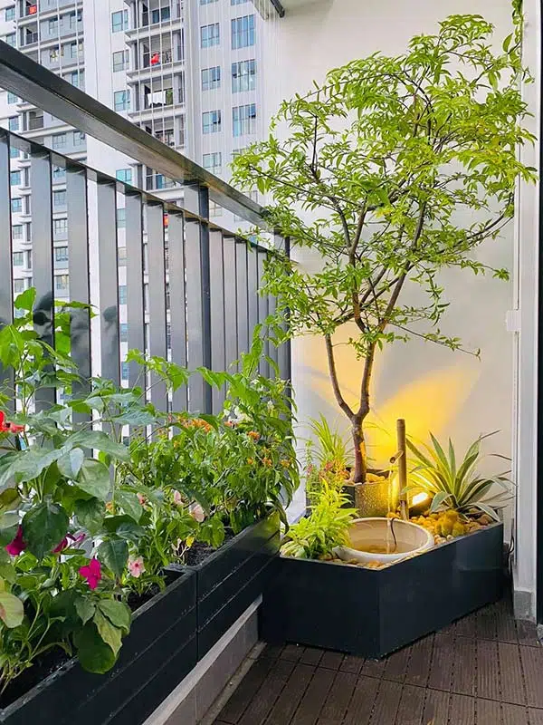Tiểu Cảnh Ngoài Trời Kết Hợp Hồ Cá Koi Tại Sơn Tây