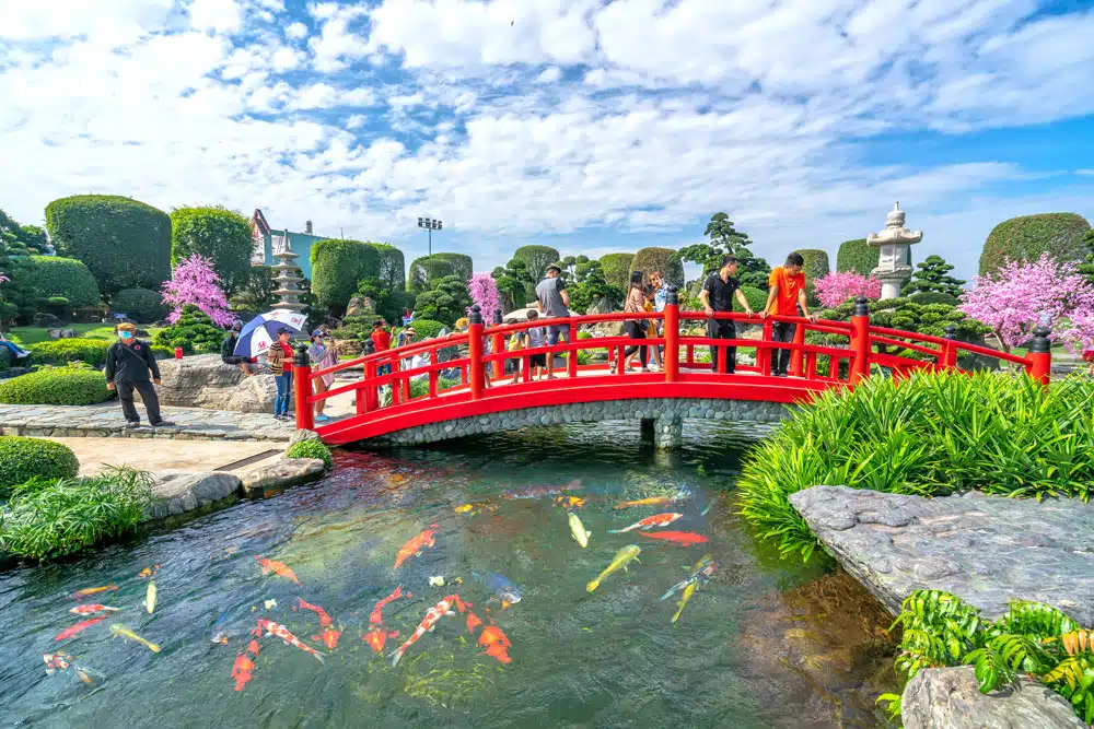Hồ Cá Koi Nhật Bản Truyền Thống