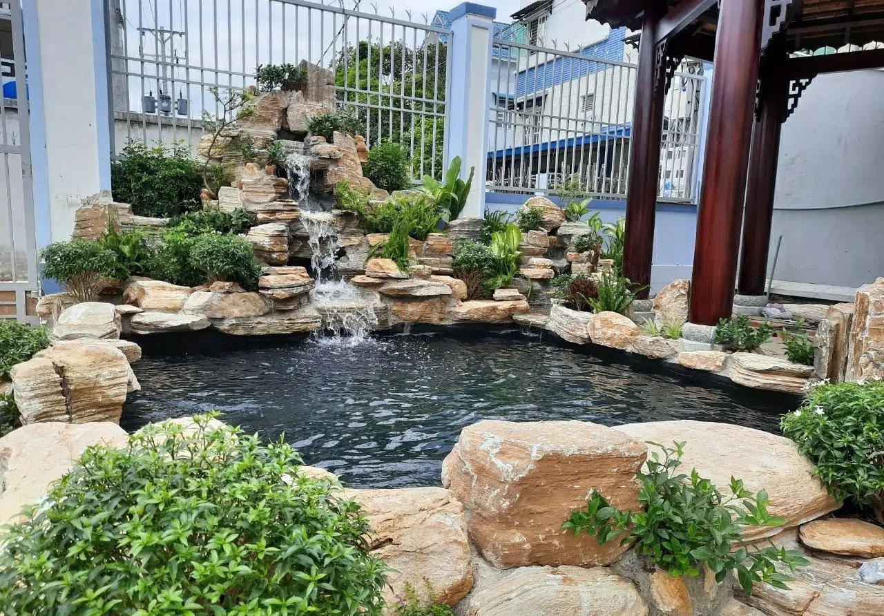 Thi Công Hồ Cá Koi Đẹp