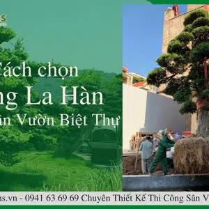 Tiểu cảnh sân thượng 02-Liên hệ: 0973.928.564