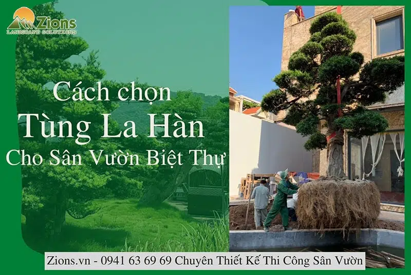Tiểu cảnh sân thượng 02-Liên hệ: 0973.928.564