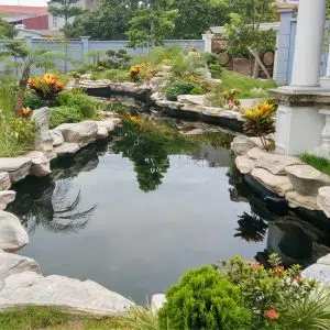 Hồ Cá Koi 08-Liên Hệ: 0973.928.564