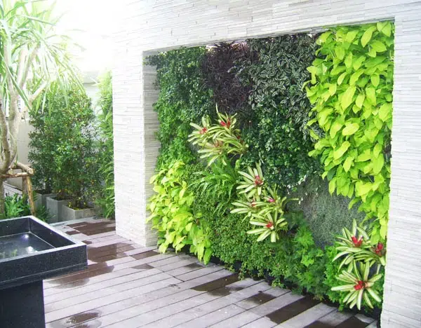 Hướng Dẫn Cách Chăm Sóc Vườn Tường Đúng Kỹ Thuật