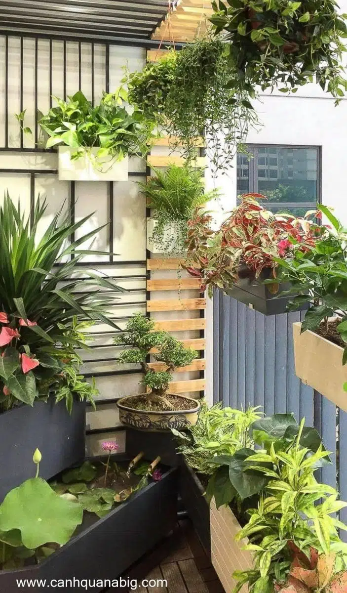 Thi Công Tiểu Cảnh Ban Công Đẹp Chuyên Nghiệp