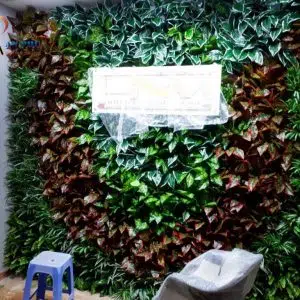 Vườn tường cho văn phòng tai shop house Vinhome