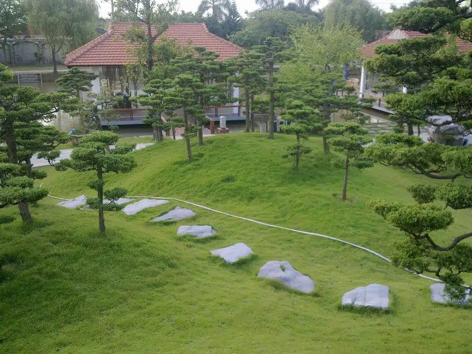 Cách Lựa Chọn Cây Trang Trí Sân Vườn