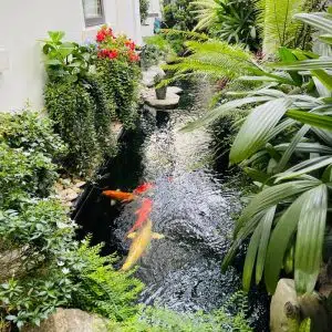 Tiểu Cảnh Ngoài Trời Kết Hợp Hồ Cá Koi Tại Vinhome Thăng Long