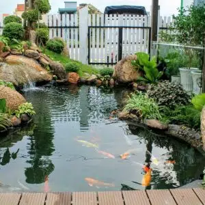 Tiểu cảnh sân vườn 10-Liên hệ: 0973.928.564