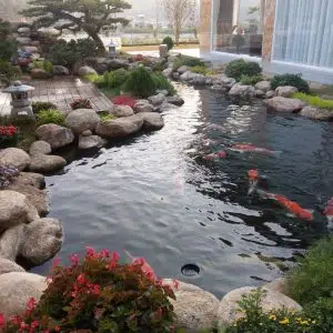 Hồ Cá Koi 17-Liên Hệ: 0973.928.564