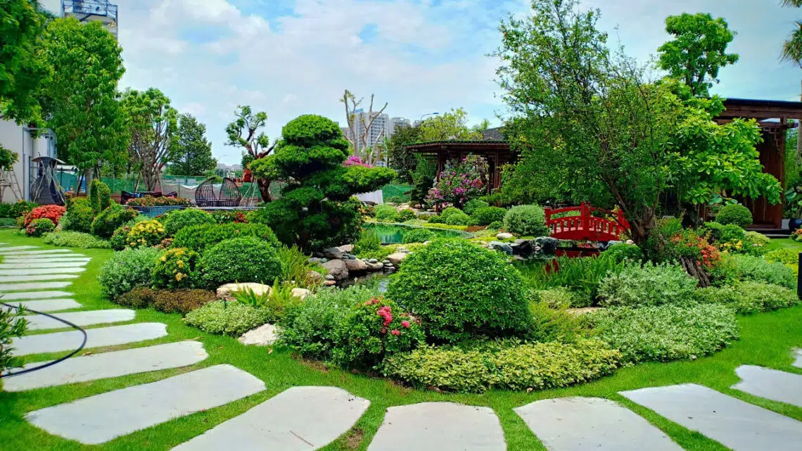 Cách Chăm Sóc Hồ Cá Koi Chuẩn Để Cá Koi Luôn Khỏe Mạnh, Phát Triển Tốt (phần 1)