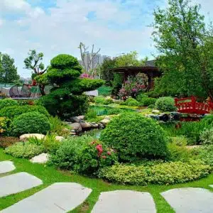Phong Cách Thiết Kế Tiểu Cảnh Sân Vườn Đang Được Ưa Chuộng Nhất Hiện Nay