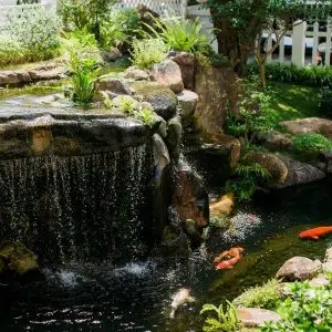 Tiểu cảnh sân vườn 24 - Liên hệ: 0973.928.564