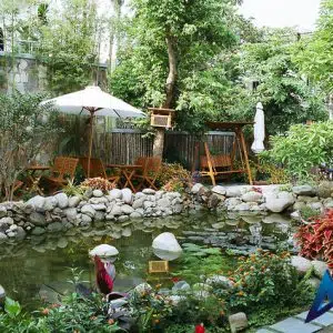 Hồ Cá Koi 31