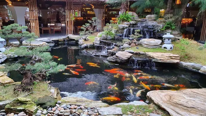 Dịch Vụ Cải Tạo, Vệ Sinh Hồ Cá