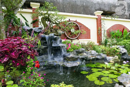 6 Nguyên Tắc Cơ Bản Trong Kỹ Thuật Tạo Hình Non Bộ