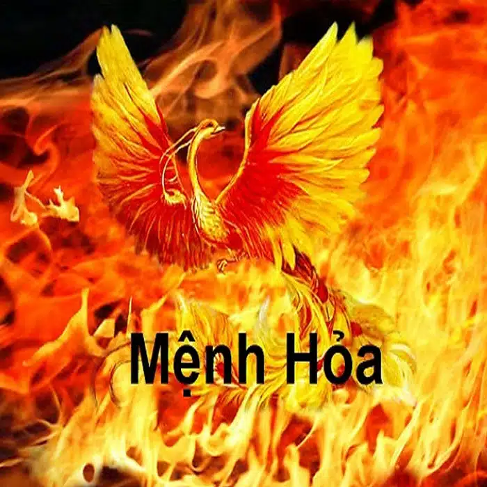 Phong Thủy Sân vườn Theo Nguyên Tắc Ngũ Hành
