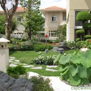 Tiểu Cảnh Sân Vườn
