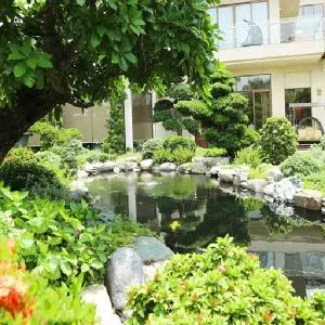 Chiêm Ngưỡng Những Mẫu Hồ Cá Koi Đẹp Mê Mẩn