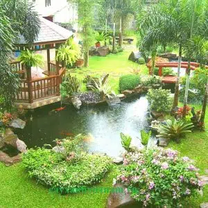 Hồ cá koi nhà anh Hưng ở Đặng Xá-Gia Lâm-HN