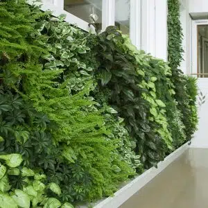 Những Mẫu Thiết Kế Vườn Tường Đứng Đẹp Mắt