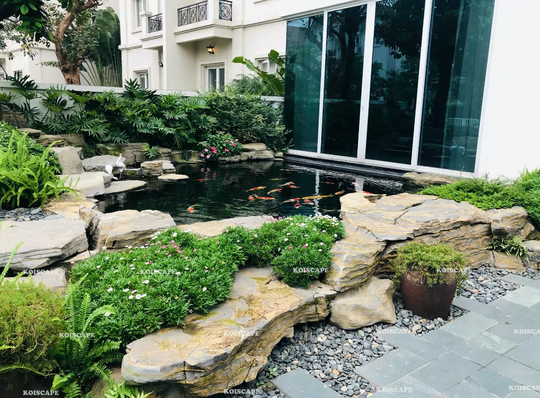 Những Điều Cần Biết Khi Thiết Kế Thi Công Hồ Cá Koi