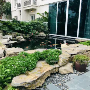 Hồ Cá Koi 15-Liên hệ: 0973.928.564