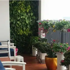 Tiểu cảnh sân vườn 18 - Liên hệ: 0973.928.564