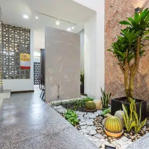 Tiểu Cảnh Ngoài Trời Kết Hợp Hồi Cá Tại Mỹ Đình