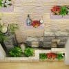 Mẫu tiểu cảnh giếng trời mã số TV-GT-09