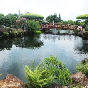 Thi Công Hồ Cá Koi Bằng Xi Măng