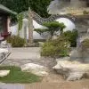 Mẫu tiểu cảnh hòn non bộ mã số TV-NB-12