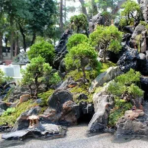 Mẫu tiểu cảnh hòn non bộ mã số TV-NB-07