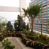 tieu-canh-san-thuong-2