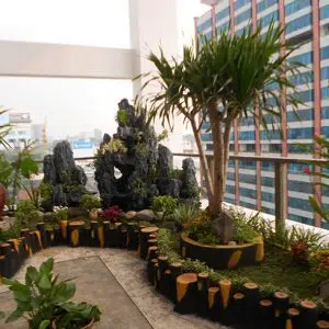 tieu-canh-san-thuong-2