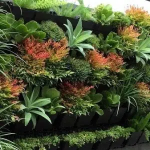 Cách Làm Vườn Tường Nghệ Thuật