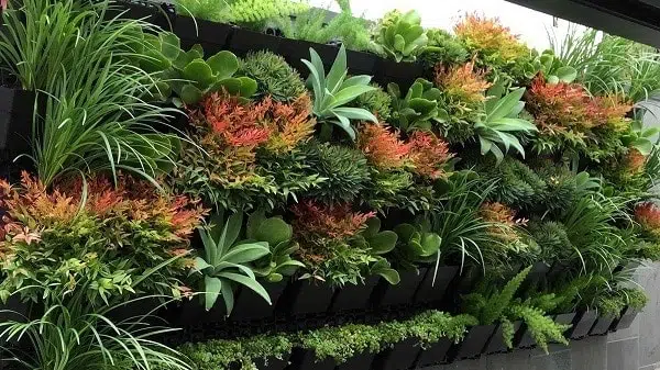 Cách Làm Vườn Tường Nghệ Thuật