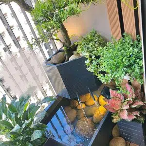 Tiểu Cảnh Ngoài Trời Kết Hợp Hồ Cá Koi Tại Sơn Tây
