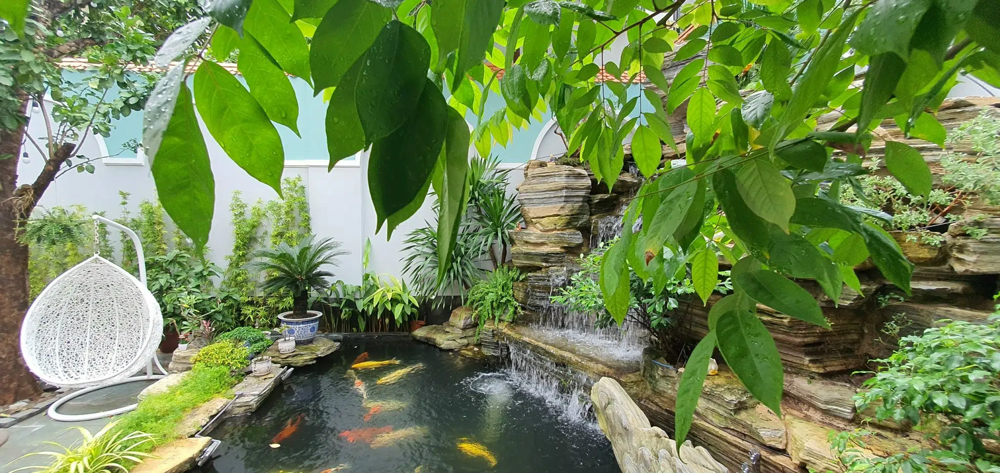 Tổng Chi Phí Làm Hồ Cá Koi Hết Bao Nhiêu