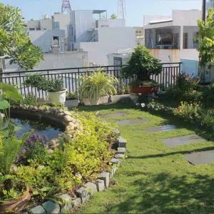 Tiểu Cảnh Đẹp Cho Nhà Phố
