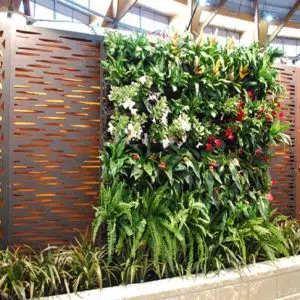 Hướng Dẫn Cách Làm Vườn Tường Đẹp