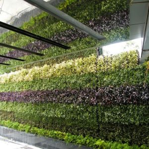 Mẫu vườn tường đứng mã số TV-TĐ-01