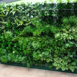 Mẫu vườn tường đứng mã số TV-TĐ-02