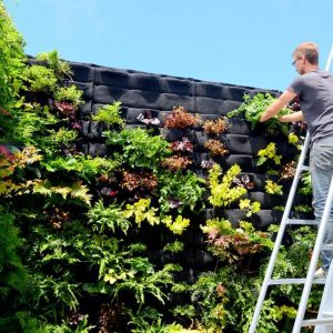 Mẫu vườn tường đứng mã số TV-TĐ-03