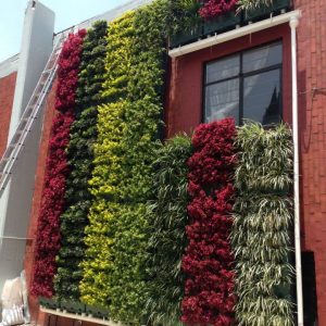 Mẫu vườn tường đứng mã số TV-TĐ-09