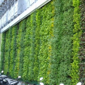 Mẫu vườn tường đứng mã số TV-TĐ-12