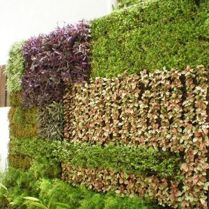 Mẫu vườn tường đứng mã số TV-TĐ-15