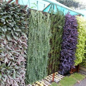 Mẫu vườn tường đứng mã số TV-TĐ-16